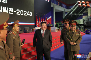 N. Korea's arms exhibition