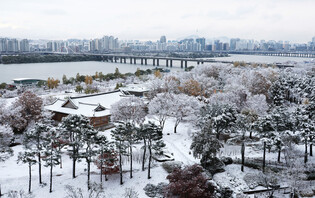 Snow in Seoul
