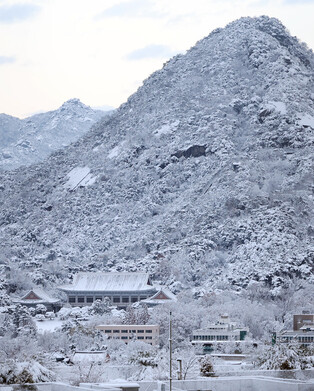 Snow in Seoul