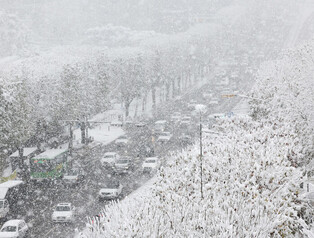 Snow in Seoul