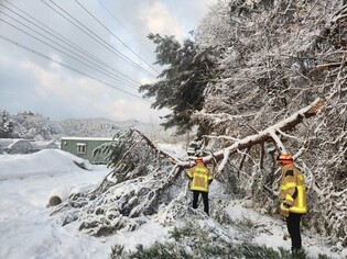 Heavy snow