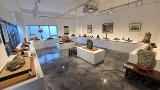 수몰 고향 지킨 돌…진안군, 용담호 수석전시관서 호피석 전시