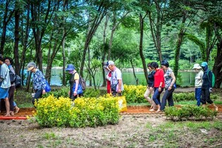 [속초소식] 영랑호 맨발 황톳길, 내년 2월 중순까지 동절기 휴장