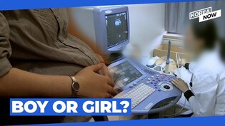 Now doctors in Korea CAN reveal baby's gender