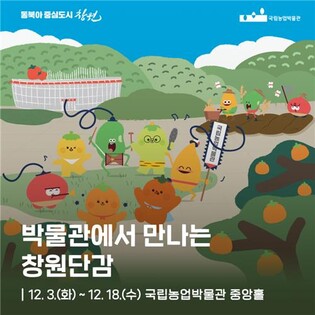 국립농업박물관에서 만나는 '창원단감'…18일까지 특별기획전