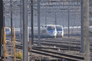 Bullet trains stranded by strike