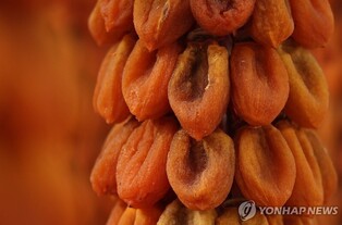 초겨울 달콤 촉촉한 곶감과 함께…13일부터 논산 양촌곶감축제