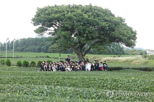 제주 찾는 수학여행단에 안전요원 동행 지원