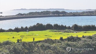 "여행하며 공부도" 제주도·성균관대·제주대 런케이션 협약