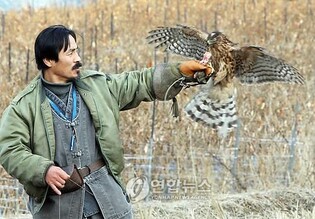 유네스코 인류무형문화유산 매사냥, 14일 대청호반서 시연