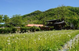 보은군, 내년 농촌체험마을 4곳서 크리에이투어 운영