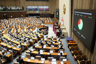 Bill for first lady's stock probe passed