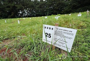 선감학원 희생자 분묘 187기 최종 확인…경기도 유해발굴 완료