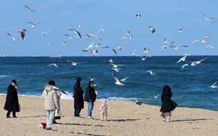Winter beach