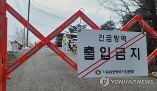 11th case of African swine fever confirmed in S. Korea this year