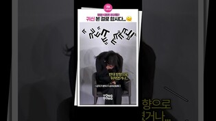 [#검은수녀들 ] 이쯤되면 귀신이 찾아와야함..????｜전여빈, Jeon Yeobeen, 이진욱, Lee Jinuk, #검은사제들 후속, The Priests 2, 제작발표회