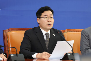 DP calls for acting president to sign special counsel bills