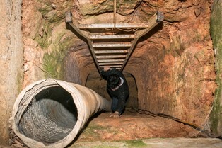 조선시대 귀한 선물로 사용된 생강…집 아래 굴 파서 보관도