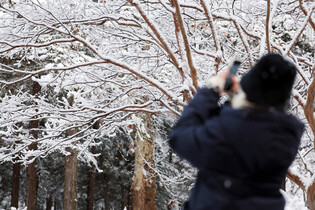 Snow in Gwangju