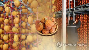 궁중 진상품으로 오른 맛과 품질…내달 10∼12일 함안곶감축제