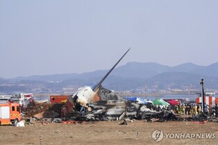 (LEAD) Eyewitnesses report sparks in engine, bird strike before Jeju Air plane crash in Muan