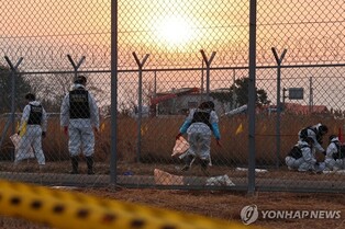 [제주항공 참사] 연예계도 애도 메시지…"너무 가슴 아픈 사고"