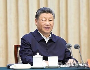 Xi expresses condolences over deadly plane crash