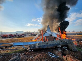 Plane crashes at Muan airport