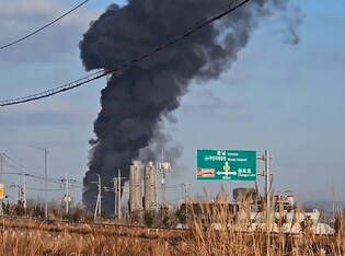 Plane crashes at Muan airport