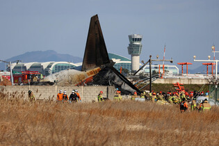 Plane crashes at Muan airport