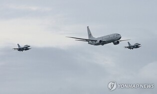 Safety inspection of military aircraft under way after Jeju Air crash