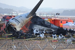 Jeju Air crash highlights need for revised regulations on airport runway safety zones