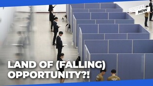 Korean companies cut hiring plans - while many jobs remain unfilled?!
