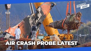 Another milestone in painstaking air disaster investigation