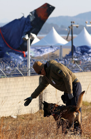 Search operations after plane crash