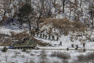 Army's live-fire drill