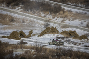 Army's live-fire drill