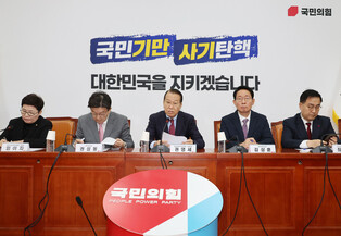 Ruling party's interim leader