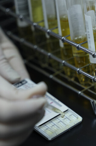 Drug tests for draftees