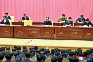 N. Korean party meeting
