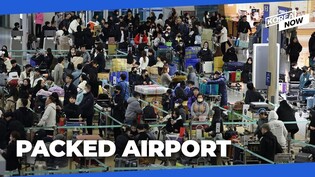 Overseas travel demand more than doubles for Lunar New Year holiday