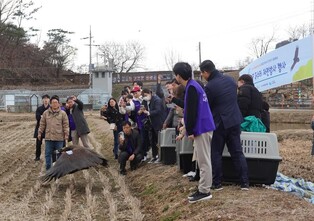 '독수리 친구 되기'…김해시, 25∼26일 세계습지의날 생태축제