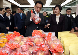 Acting president visits fair for Seol holiday