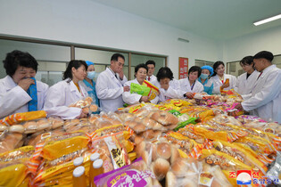 N. Korea's inauguration ceremony for regional factory