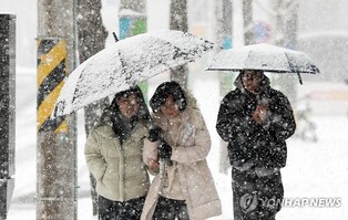 "설연휴 전국 눈·강추위 예상"…정부, 관계기관 대처계획 점검