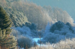 설 연휴 강원 잦은 눈·비…임시공휴일 이후 기온 '뚝'