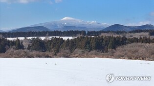 "신과 함께 새해를 맞다"…제주의 독특한 세시풍속