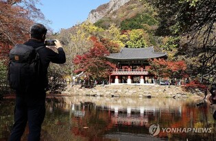 전남도 외국인 웰니스·의료 관광 활성화 추진
