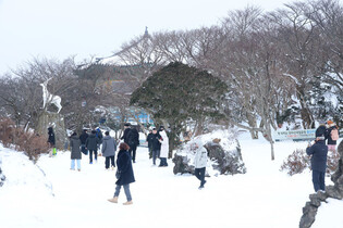 Winter scenery