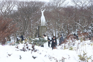 Winter scenery
